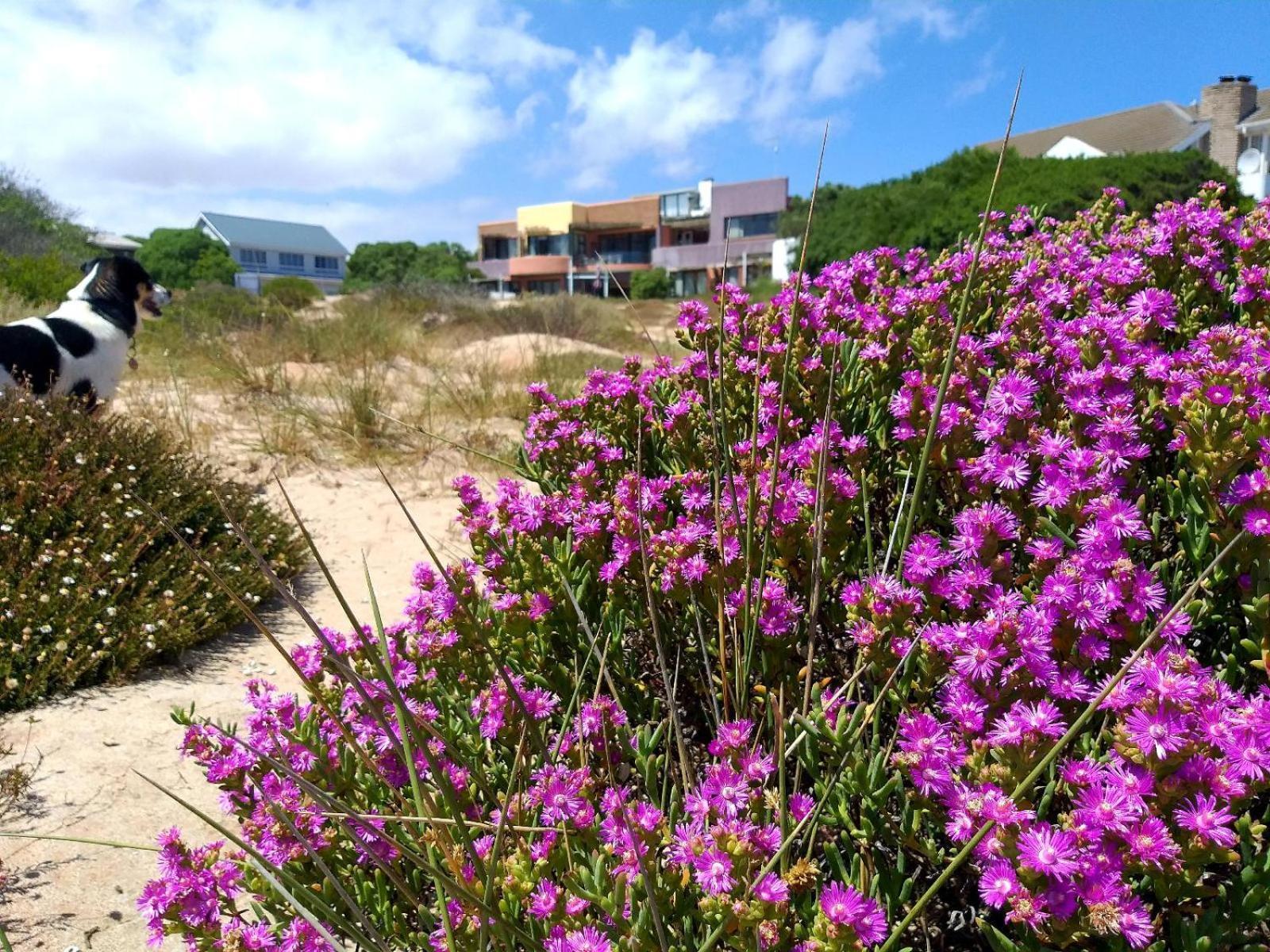 Absolute Beach Accommodation Stompneusbaai Exterior photo